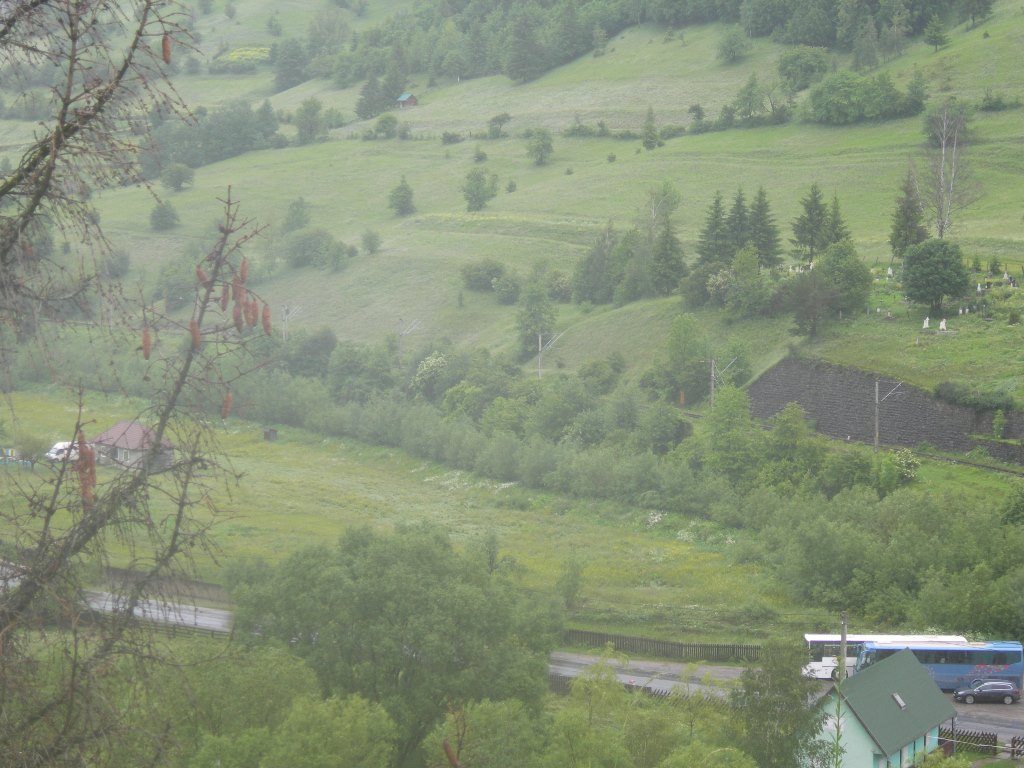 DSCN2806.JPG